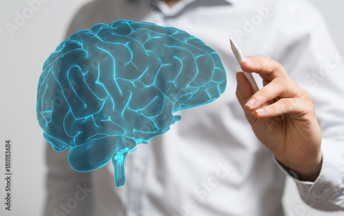 human brain