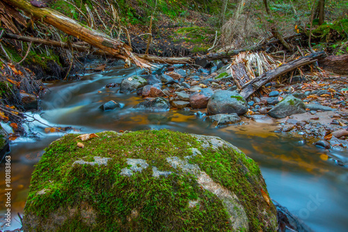 Fototapeta Naklejka Na Ścianę i Meble -  Mossy Boulder in Carpenter Creek