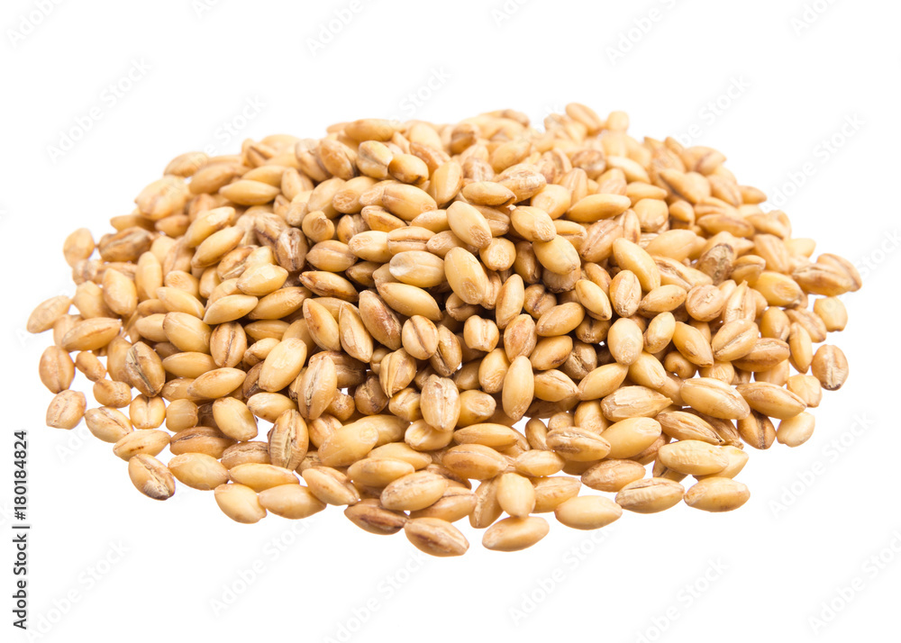 Barley. Pile of grains, isolated white background. Barley. Pile of grains, isolated white background.