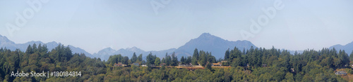 Ridge with Pine Trees