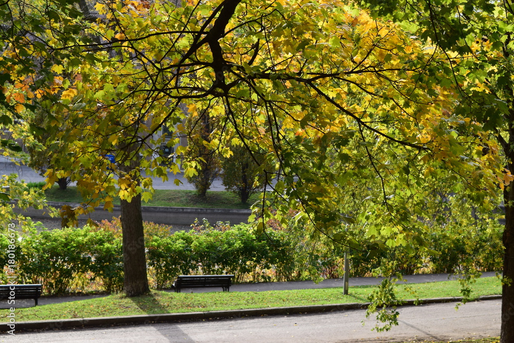 Naklejka premium Nature