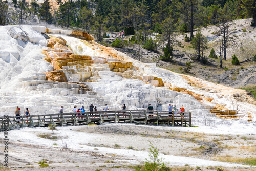 Tourists visiting Palette Spring Terrace at Mammoth Hot Springs in Yellowstone National Park