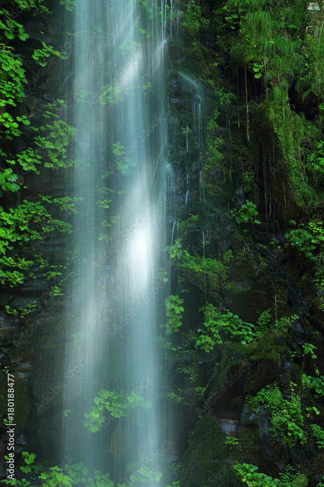 Obraz premium 夏の高瀬峡 大滝 山形県遊佐町 Summer Takase Gorges Otaki / Yuza, Yamagata, Japan