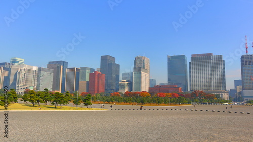 View of Marunouchi s Buildings from Imperial Palace Garden  Japan. Concept for Japanese style Business.