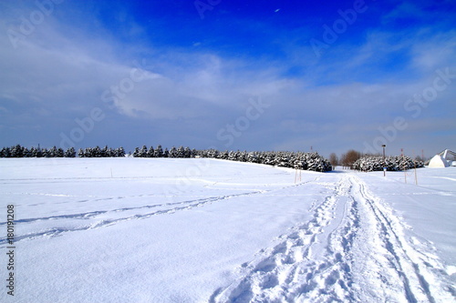 Park's snowy landscape