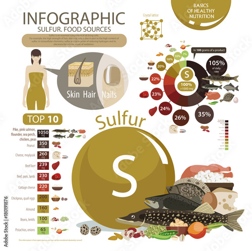 Infographics. Sulfur. Food sources and influence on human health.