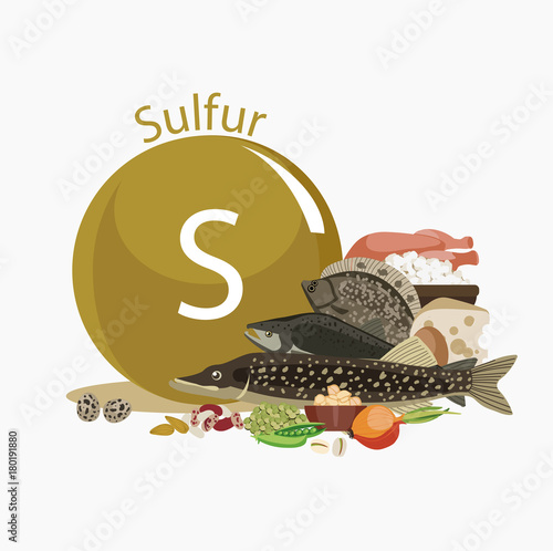 Sulfur. Food sources 