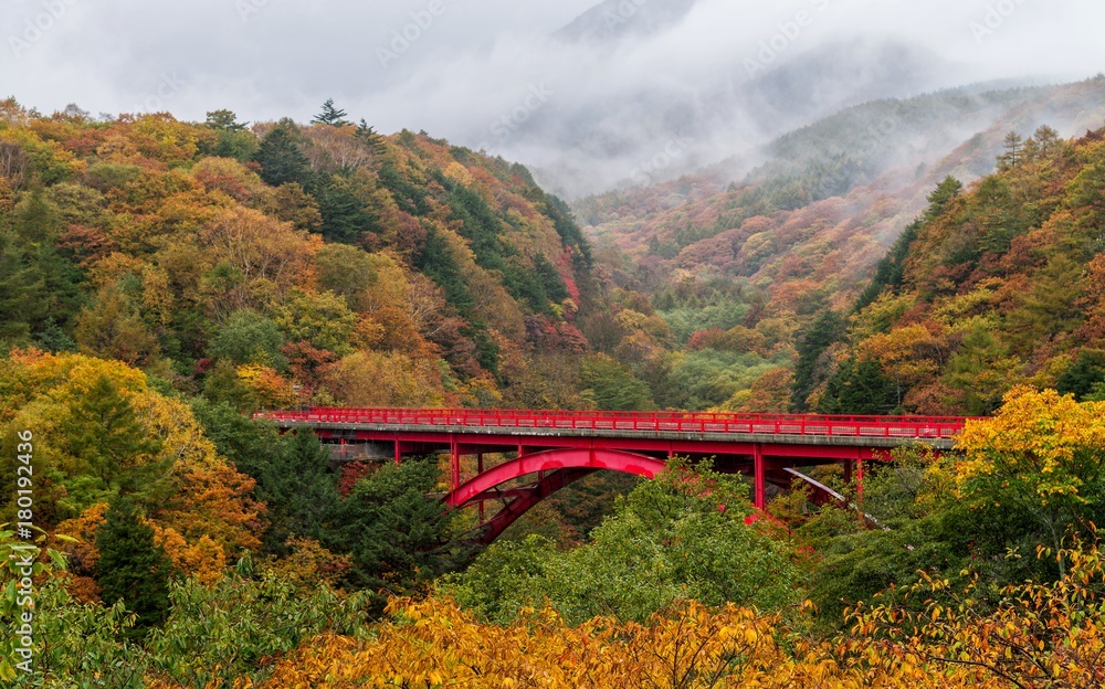 Higashiizawa bridge and valley in autumn season with raining and fog. Higashiizawa bridge and valley in autumn season with raining and fog.