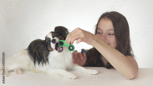 Dog Continental Toy Spaniel Papillon helps the girl spin the green fidget spinner on white background
