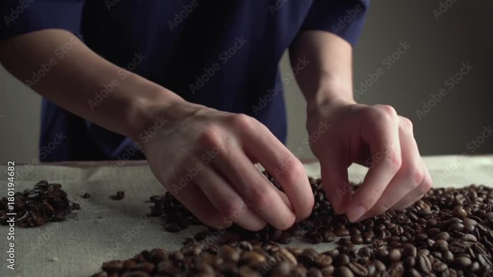 close up woman hands sorting poor quality's of rusted coffee beans. close up woman hands sorting poor quality's of rusted coffee beans.