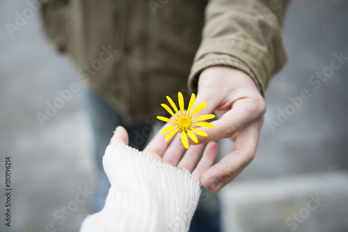 Man and woman hand over yellow flower