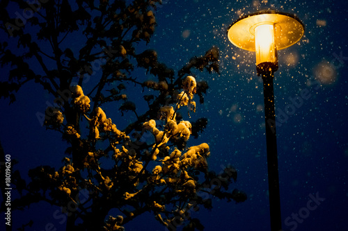 First Snow