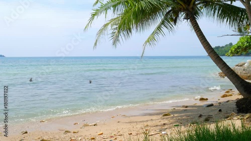 View to the sunny sandy beach. View to the sea and a sandy beach with palm in a sunny day.