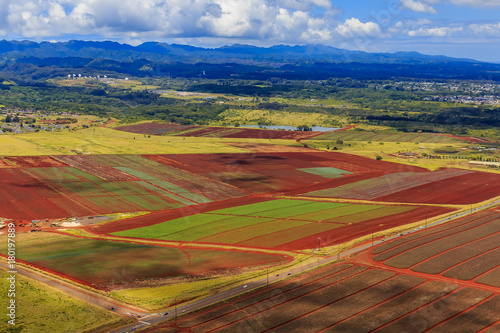 Aerial view of pineapple fields and palm trees in Oahu Hawaii