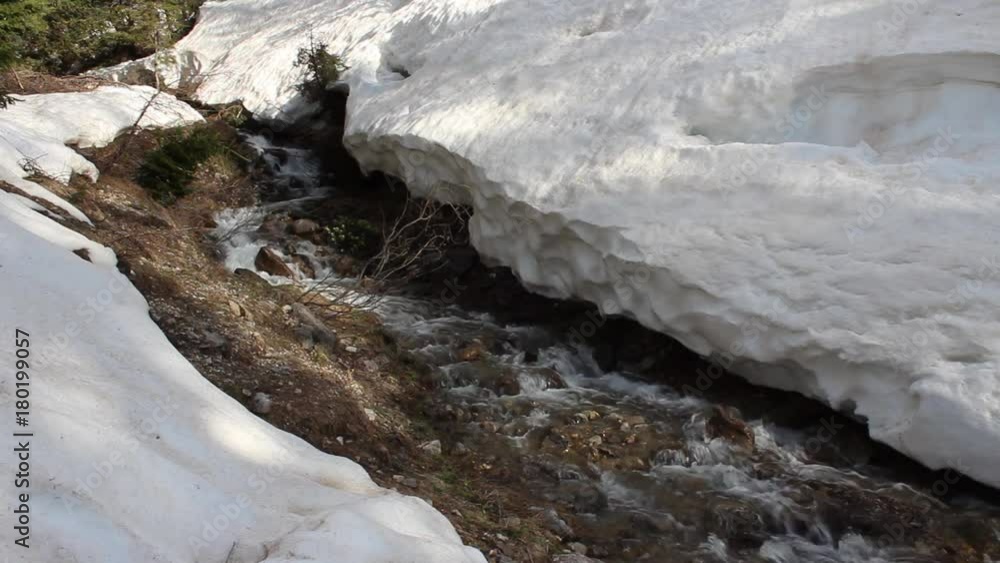 Ruscello che scorre tra le neve in inverno Ruscello che scorre tra le neve in inverno
