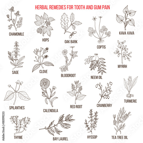 Best herbal remedies for tooth and gum pain