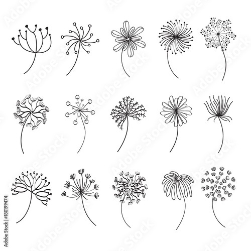 Dandelion Outline with variation style 

