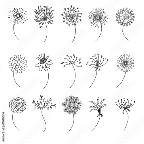 Dandelion Outline with variation style 