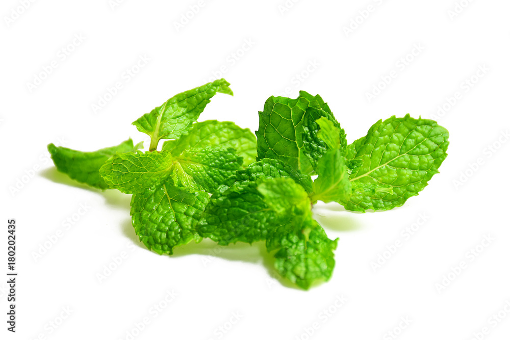 Mint leaves isolated on white background Mint leaves isolated on white background