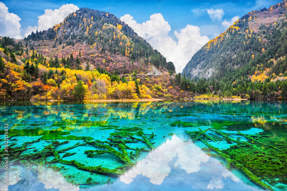 Naklejka premium Amazing view of crystal clear water of the Five Flower Lake (Multicolored Lake) among autumn woods in Jiuzhaigou nature (Jiuzhai Valley National Park), China.