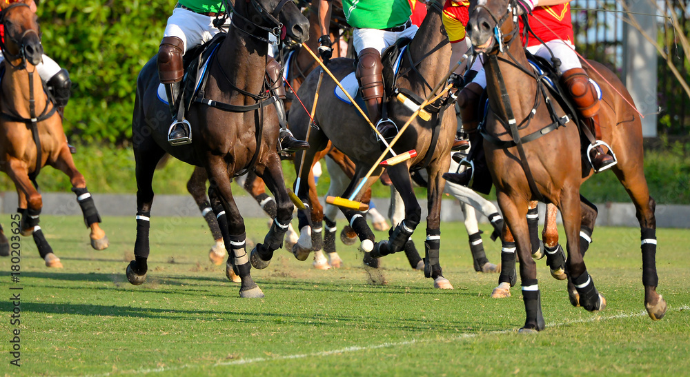 Horse Polo Ball