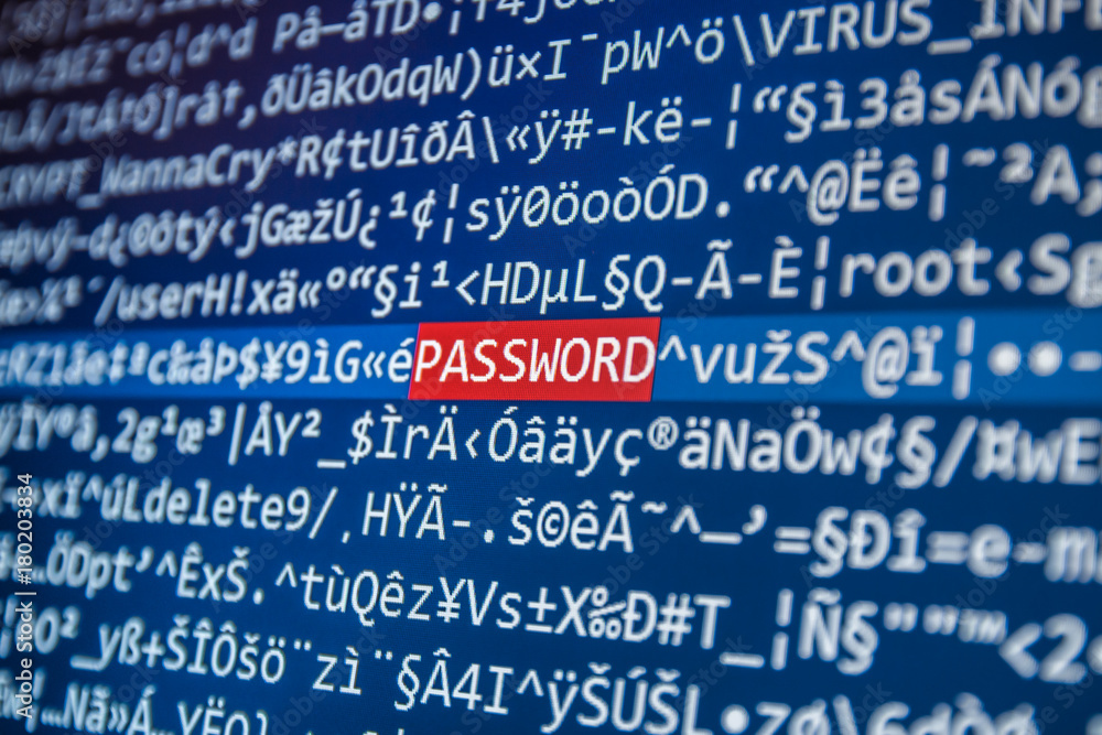 Word PASSWORD on the screen among the code Word PASSWORD on the screen among the code