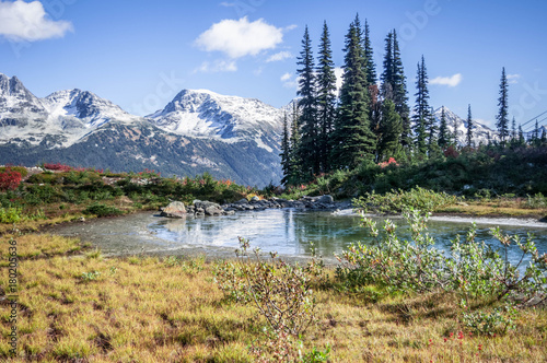 Obraz na plátně View of the mountain, Harmony Lake Loop, Whistler, British Columbia, Canada - fa