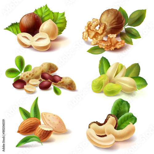 Set of different peeled and with peel and leaves nuts realistic vector illustrations isolated on white background. Full and cracked hazelnut, walnut kernel halves, peanuts, pistachio, almond, cashew