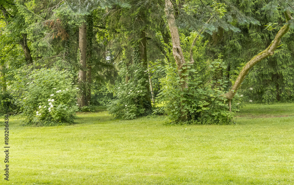 Obraz premium idyllic park scenery