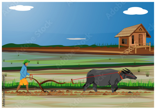farmer plow in paddy field vector design