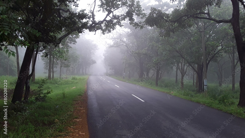 Fototapeta premium Srisailam, Andhra Pradesh, India