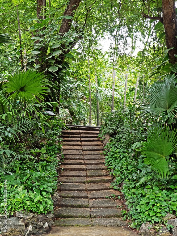 Landscape View of Footpath on Tropical Garden in Thailand