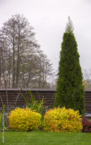 Rockery with big stones and different plants in the garden