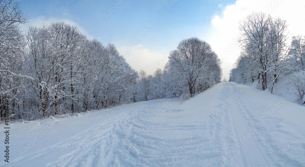 Beautiful winter forest covered with snow. Ski track at the Tysovets sports base, Ukraine. Beautiful winter forest covered with snow. Ski track at the Tysovets sports base, Ukraine.