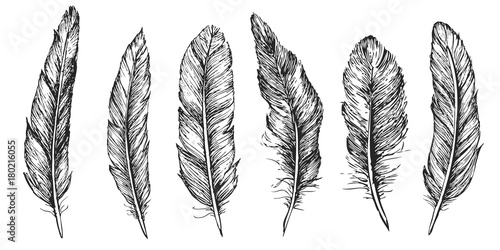 Feather Pattern