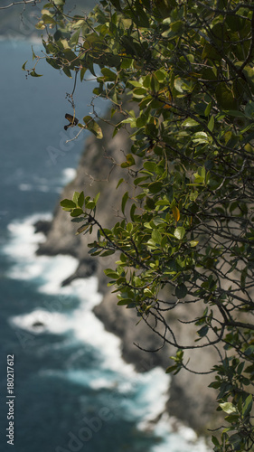 Cinque Terre coast