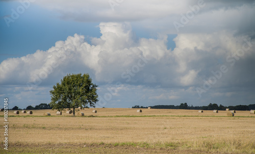 Clouds over harvested field with straw bales © Gatis