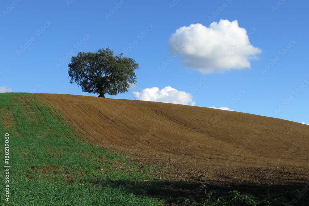 Obraz premium campagna