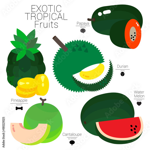 EXOTIC TROPICAL FRUITS
Five exotic tropical fruits with green skin and colorful pulp, are packed with useful nutritions for human.