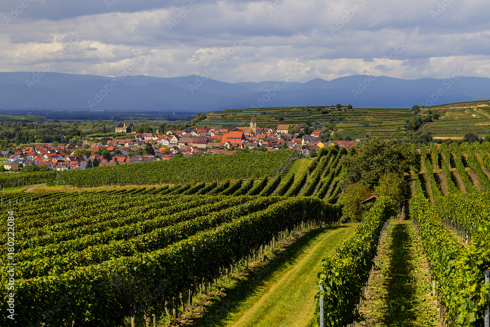 Weinlandschaft Kaiserstuhl Burkheim