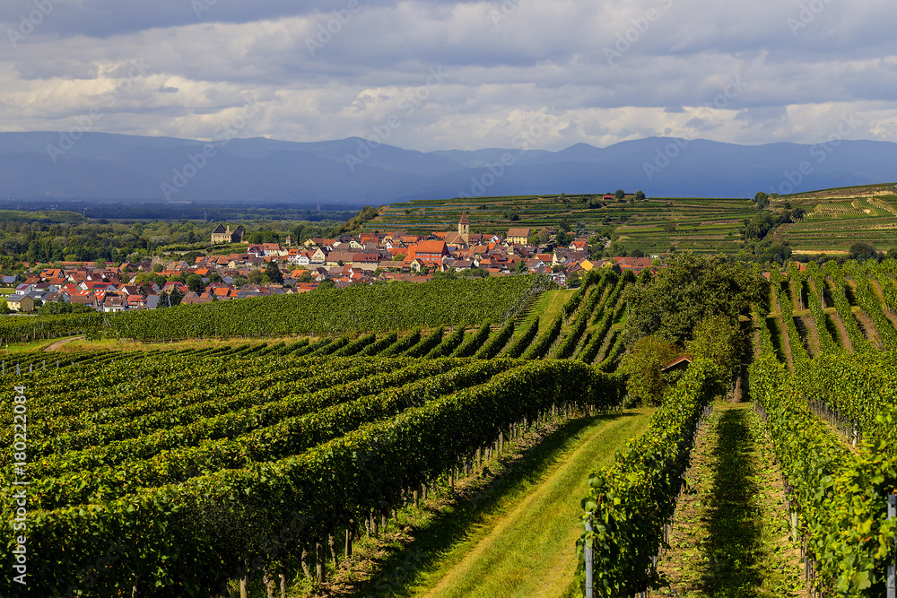 Naklejka premium Weinlandschaft Kaiserstuhl Burkheim