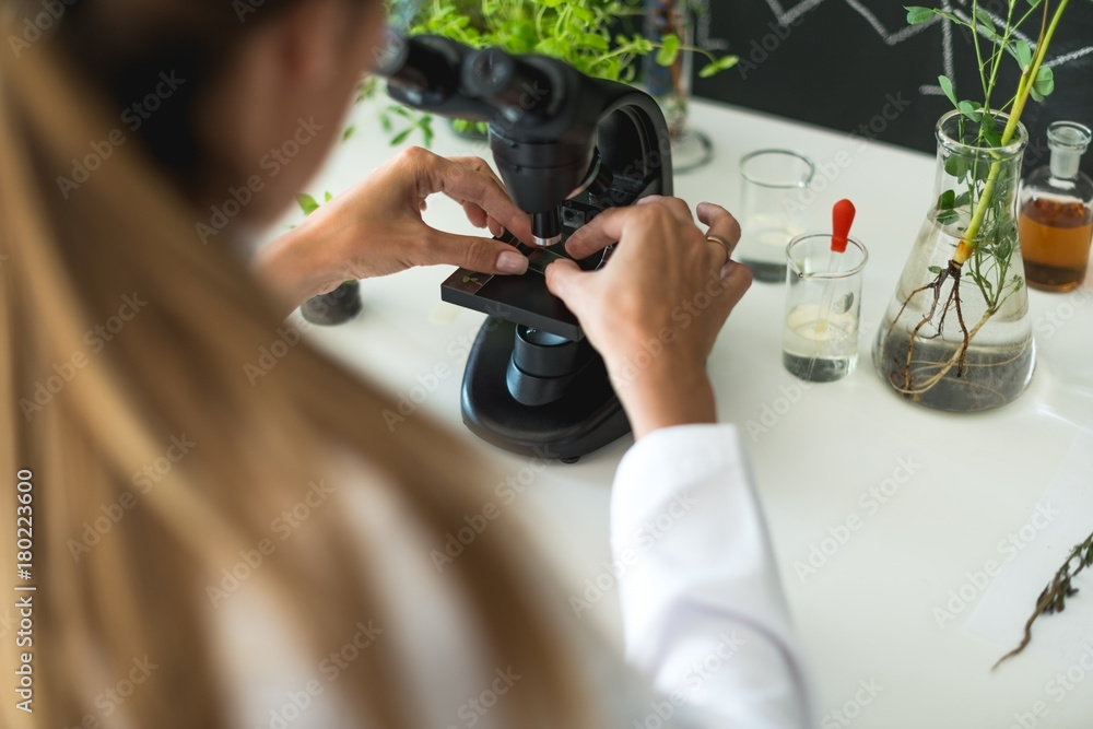 Naklejka premium Scientist doing research on plants