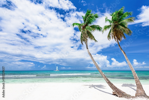 resort beach palm tree sea Dominican Republic © dbrus