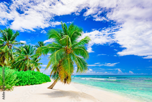 Fototapeta Naklejka Na Ścianę i Meble -  resort beach palm tree sea Dominican Republic