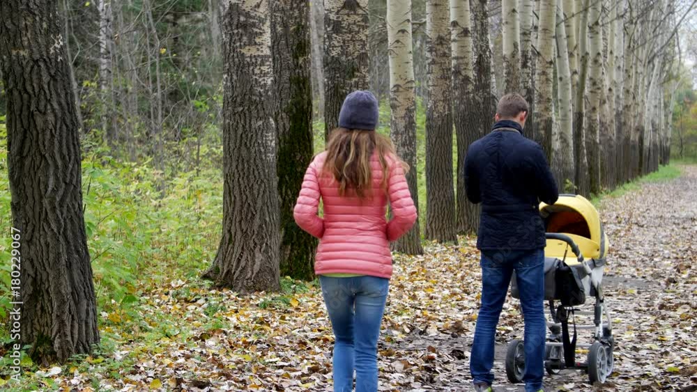 Parents with a stroller walks through the autumn forest, she walks along a beautiful avenue Parents with a stroller walks through the autumn forest, she walks along a beautiful avenue