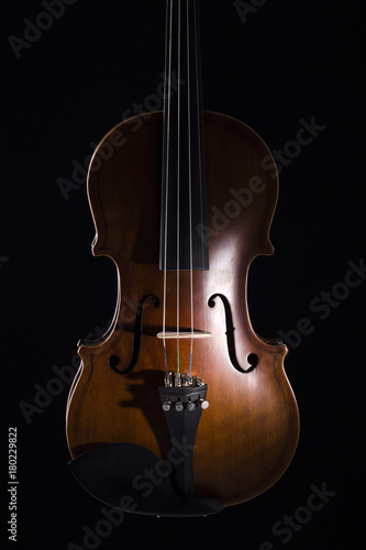 Beautiful violin 