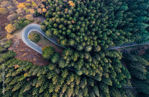 Overhead aerial top view over hairpin turn road bend in countryside autumn pine forest.Fall orange,green,yellow,red tree woods.Mountain curve street path background.Straight-down above perspective