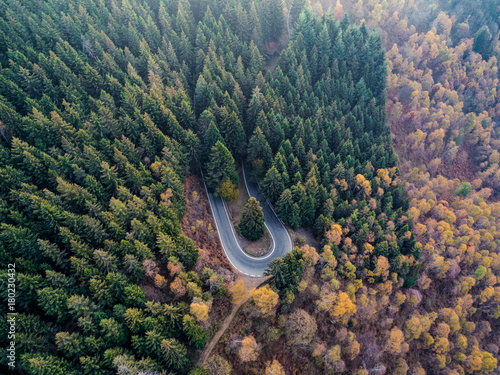 Overhead aerial top view over hairpin turn road bend in countryside autumn pine forest.Fall orange,green,yellow,red tree woods.Mountain curve street path background.Straight-down above perspective
