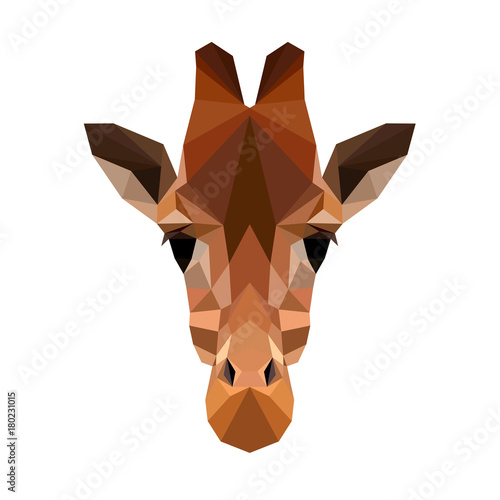 Vector polygonal giraffe isolated on white. Low poly giraffe illustration. Color vector simple animal image.