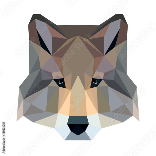 Vector polygonal wolf isolated on white. Low poly dog illustration. Color vector simple animal predator image.